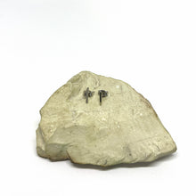 Load image into Gallery viewer, Line silver and gold asymmetric stud earrings
