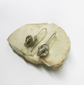 Desert rose silver earrings
