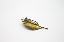 Load image into Gallery viewer, Beech leaf with coral brooch brass
