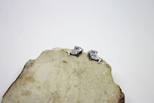 Load image into Gallery viewer, Fish silver earrings with zirconia
