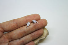 Load image into Gallery viewer, Fish silver earrings with zirconia
